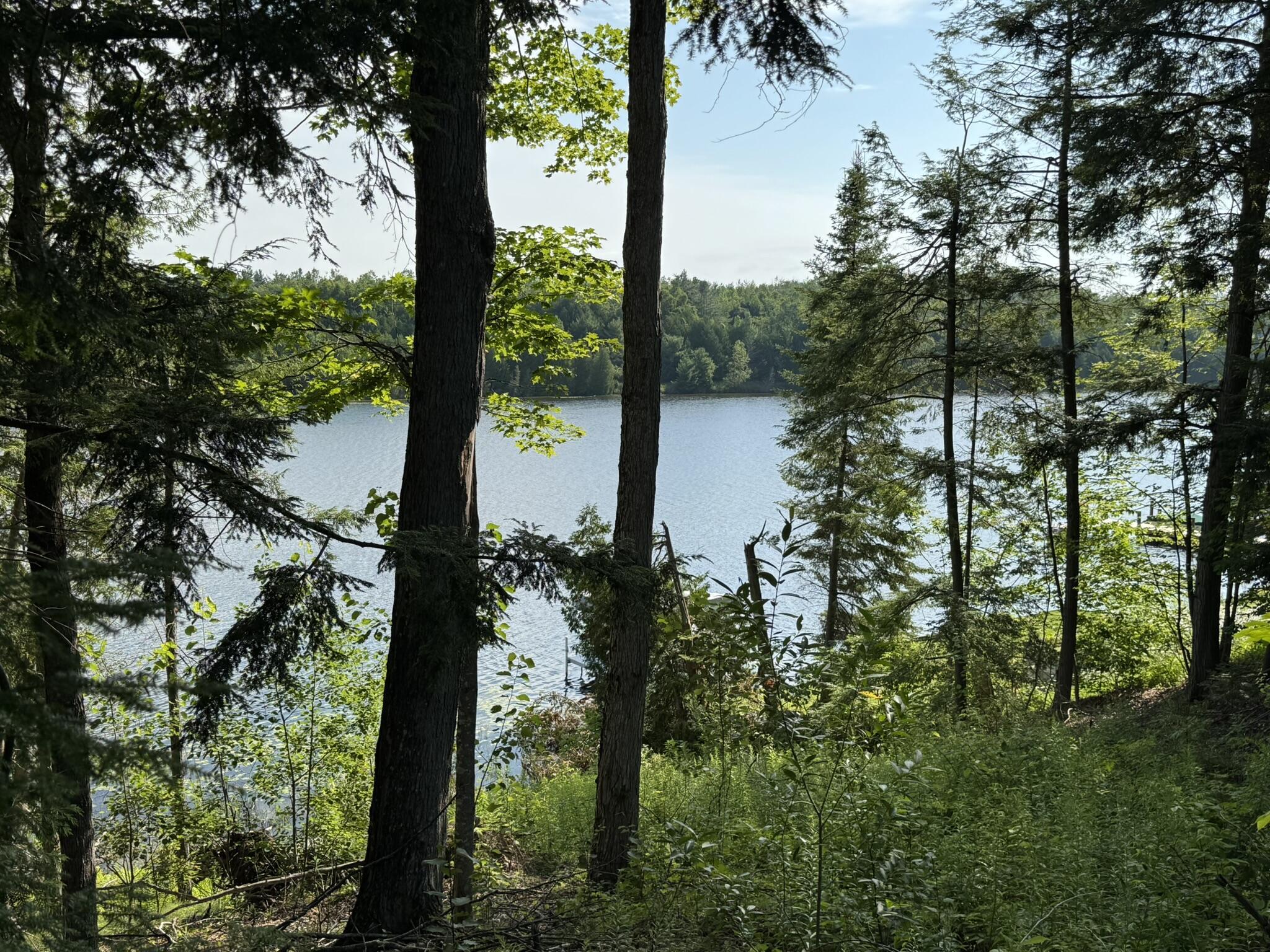 Image 3: IMG_9346