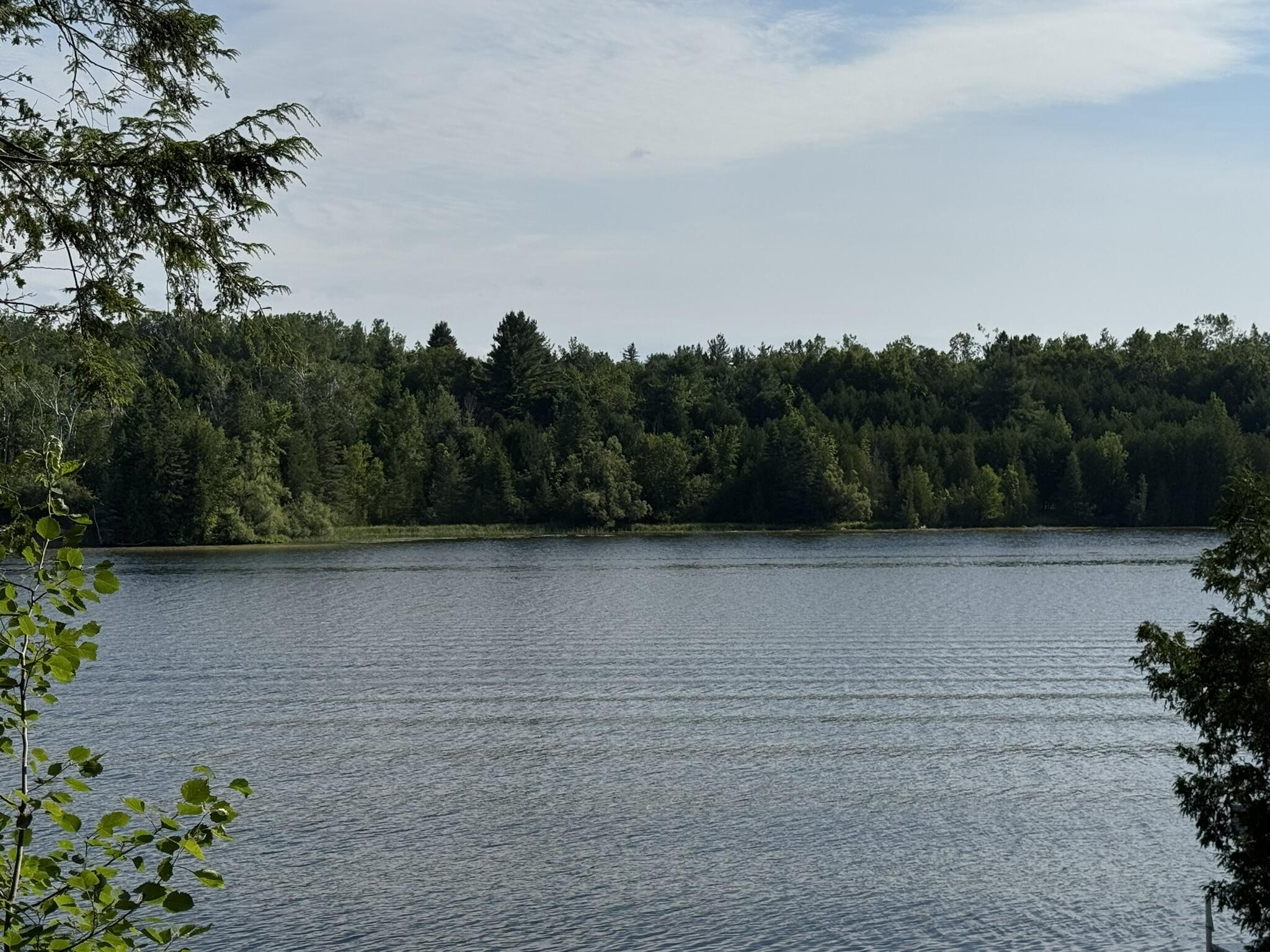 Image 4: Black River