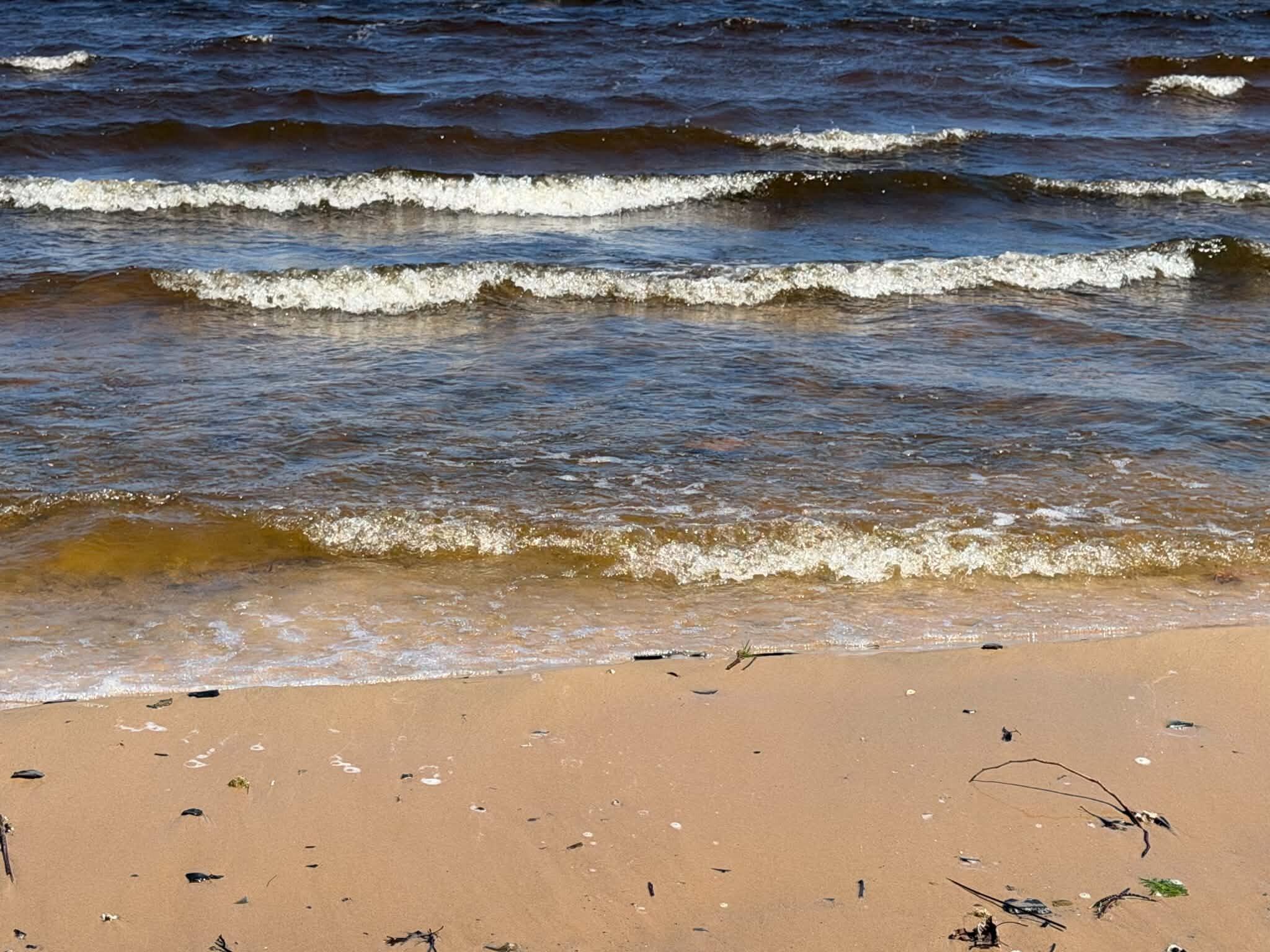 Image 4: 6a471100-d365-4074-af9a-71576a23af5b