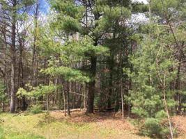Lots 478 & Split Hoof Trail