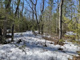 10550 Huron Trail
