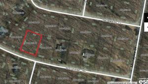 6545 Wolverine Trail