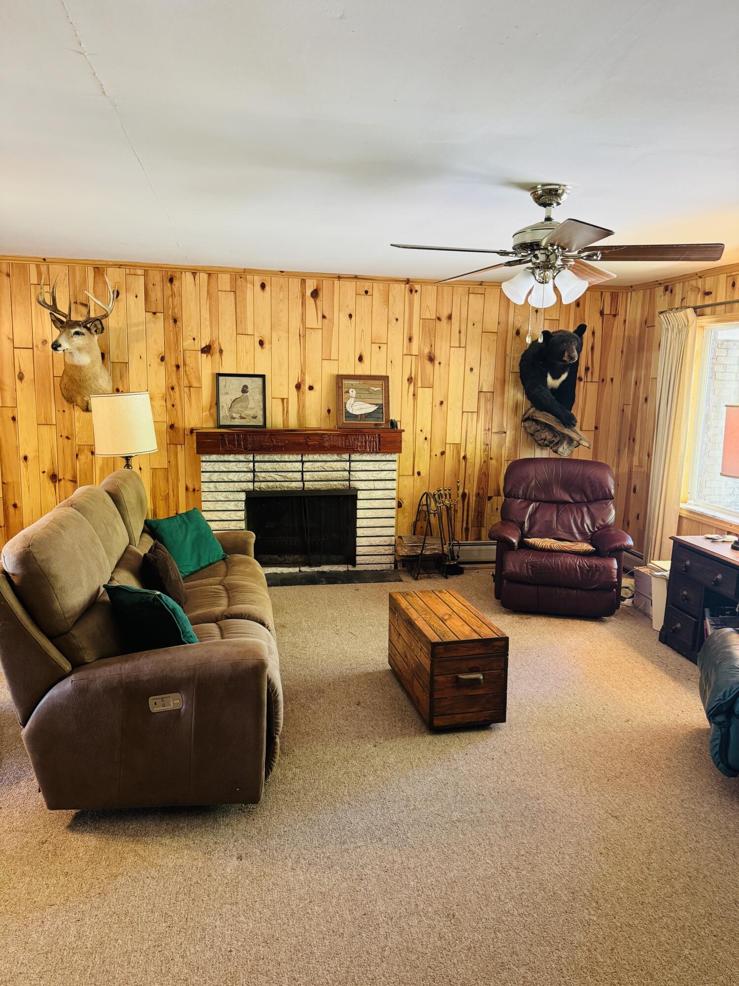 Image 4: Living Room