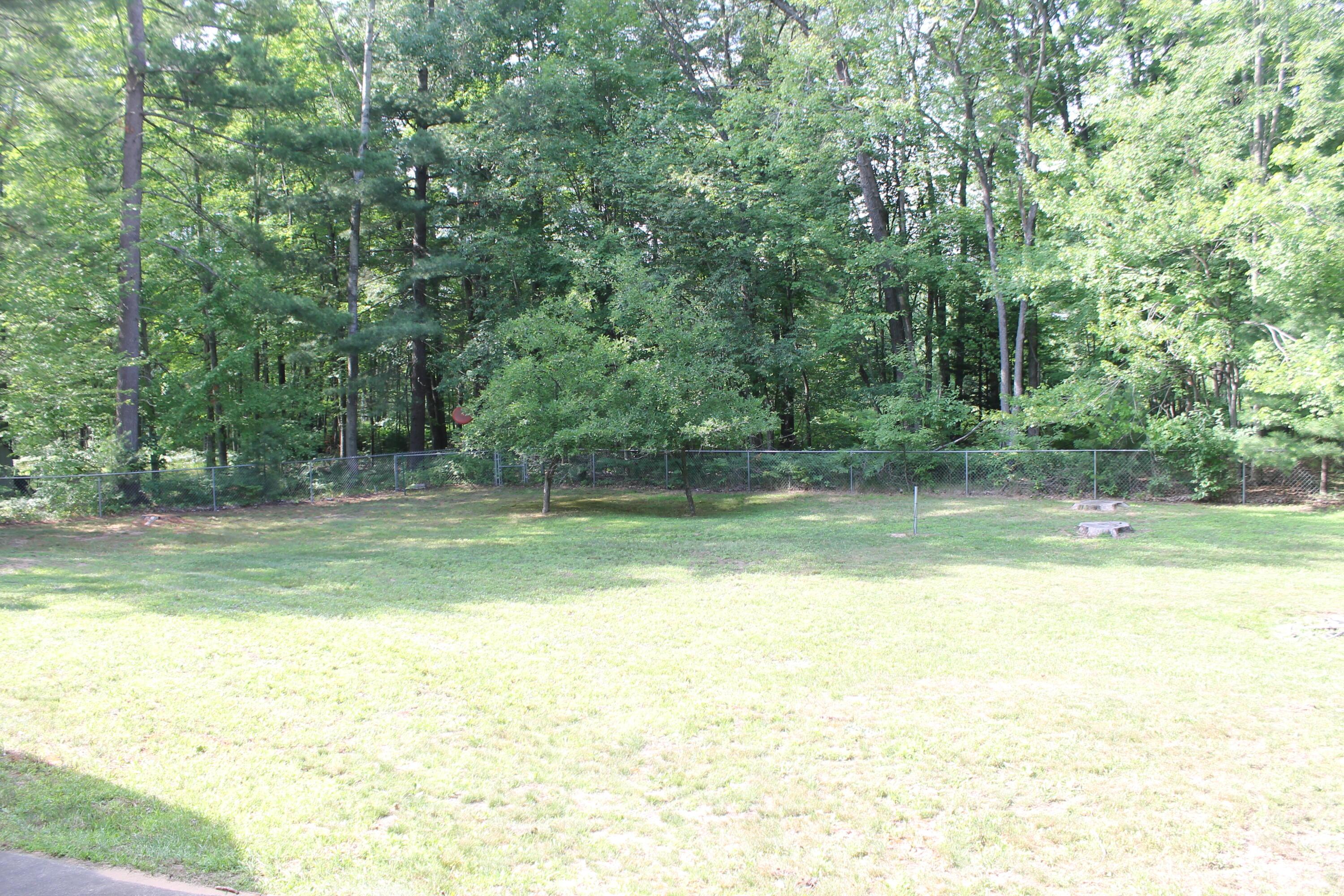 Image 3: IMG_0380