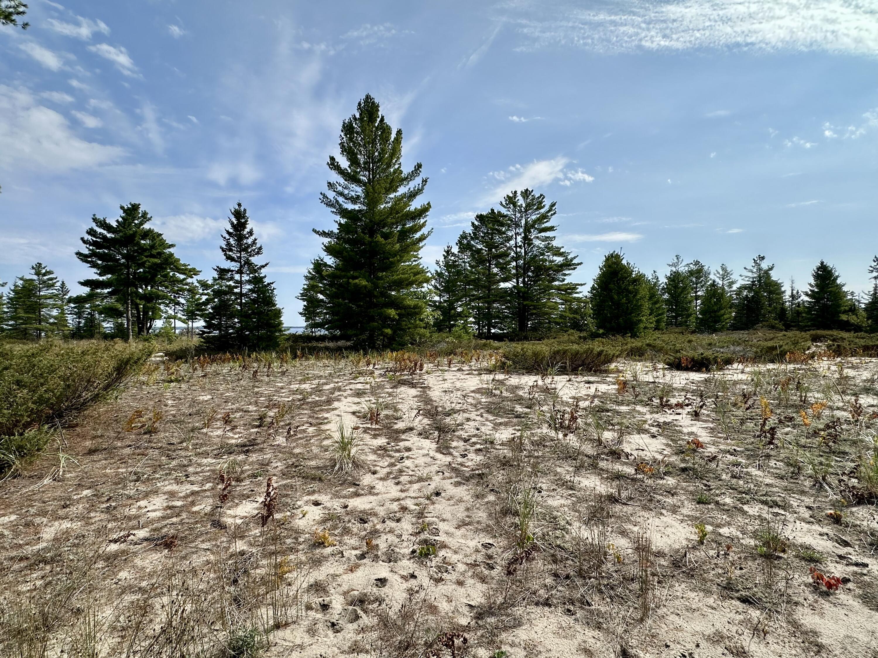 Image 3: Property