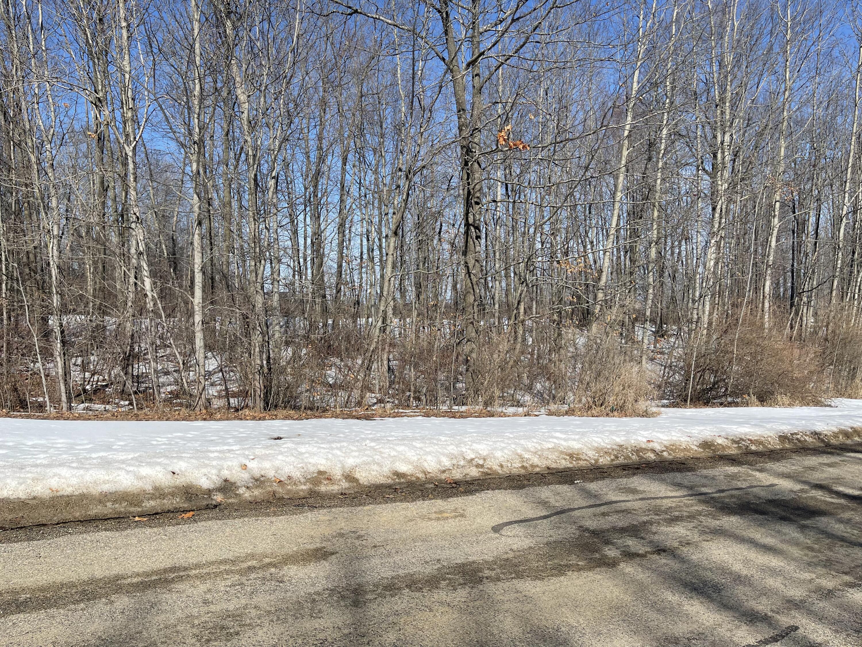 Image 3: IMG_2064