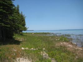 Arbutus Drive