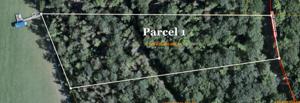 2423 Boy Scout Road