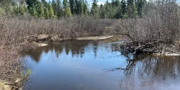 000 AuSable River Trail