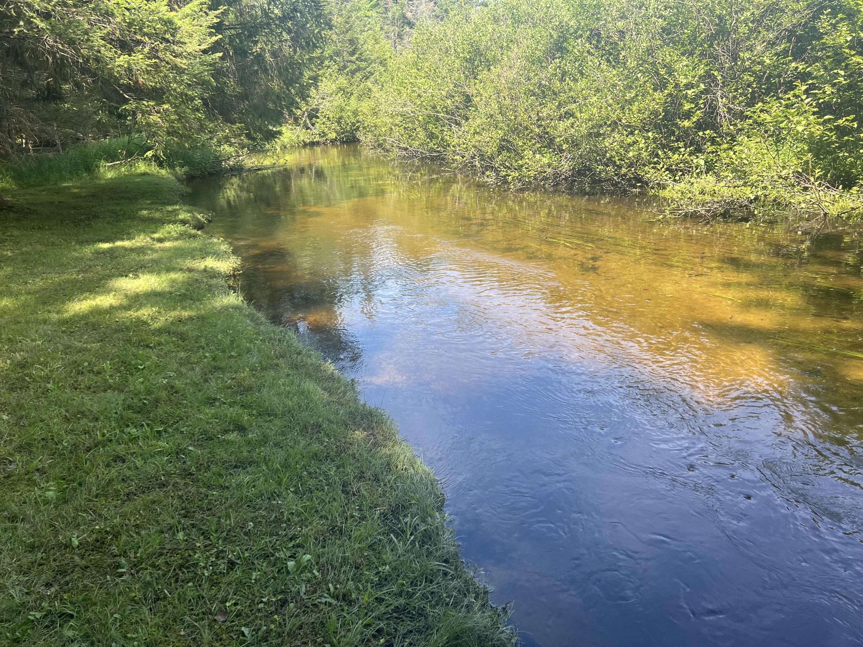 Image 2: IMG_0893
