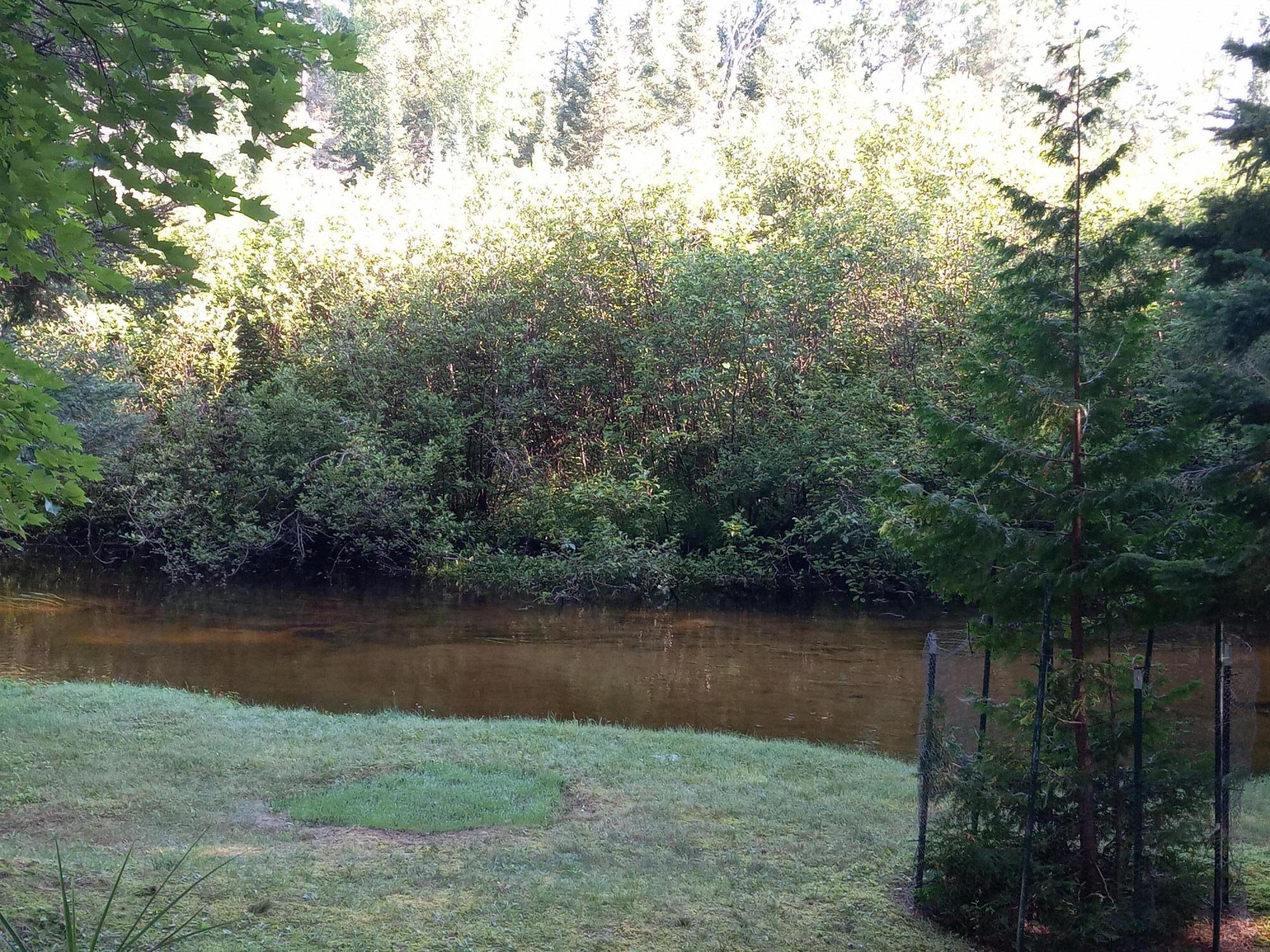 Image 3: 1000000565