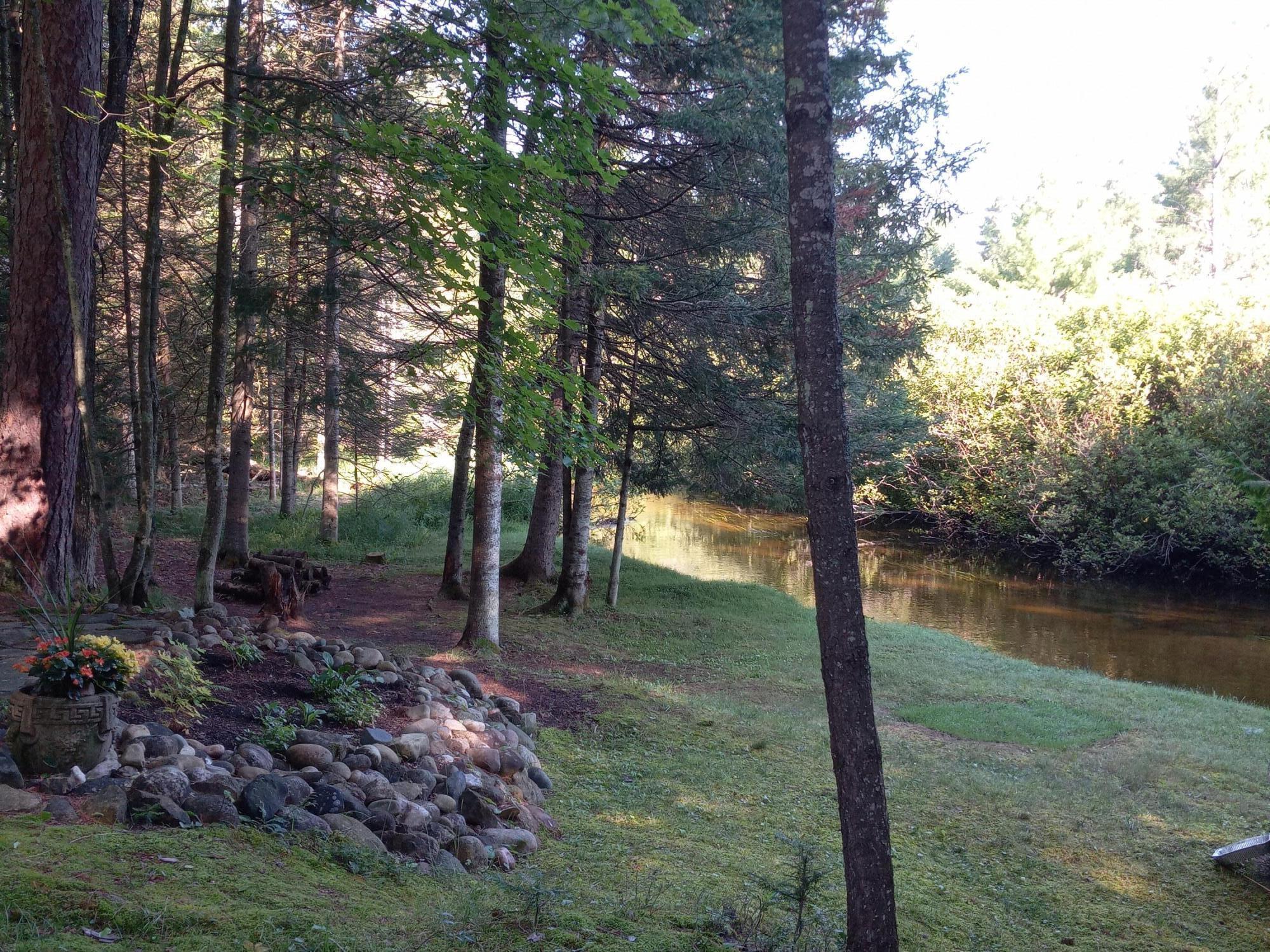 Image 4: 1000000570