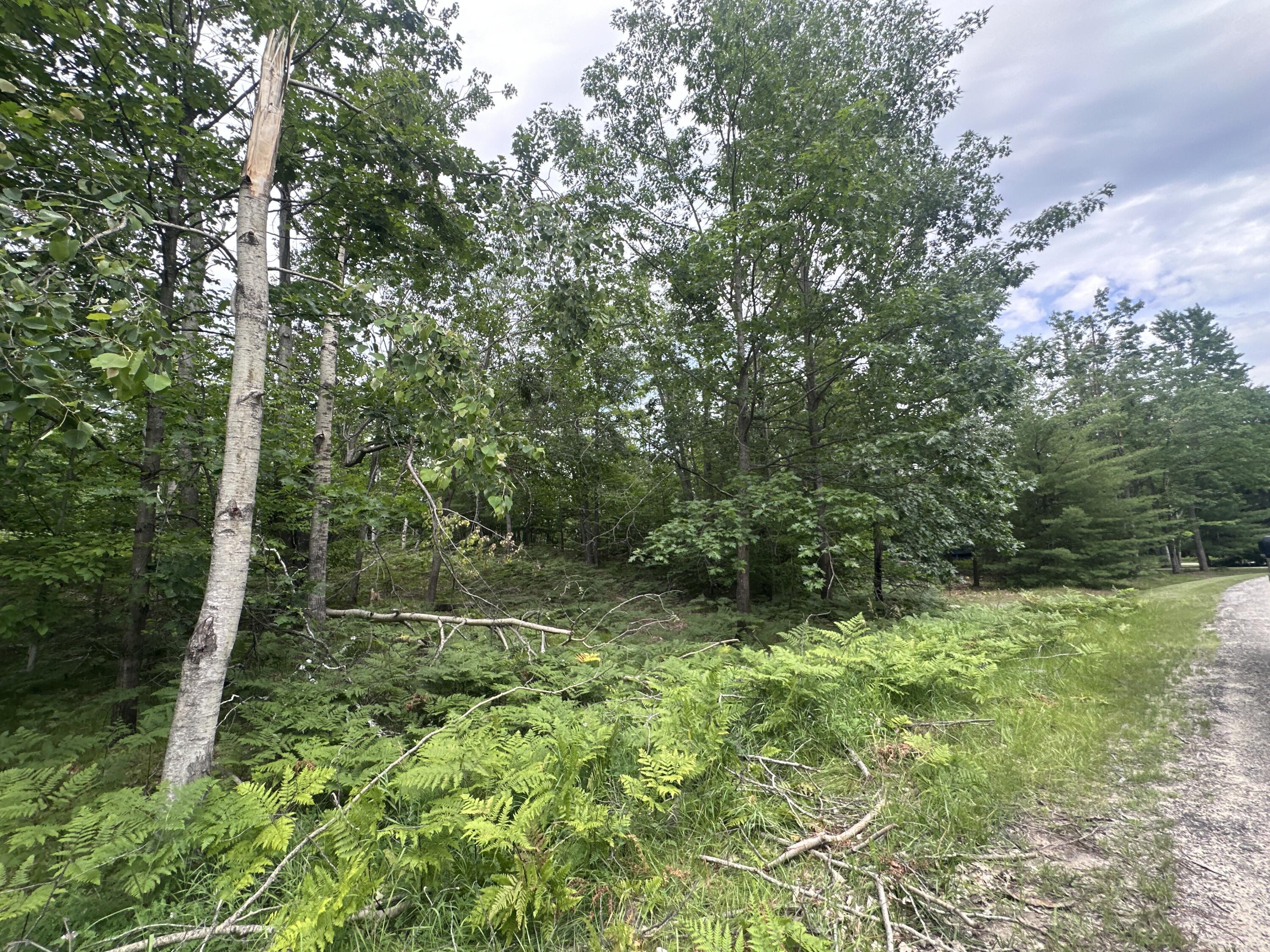 Image 3: IMG_8288