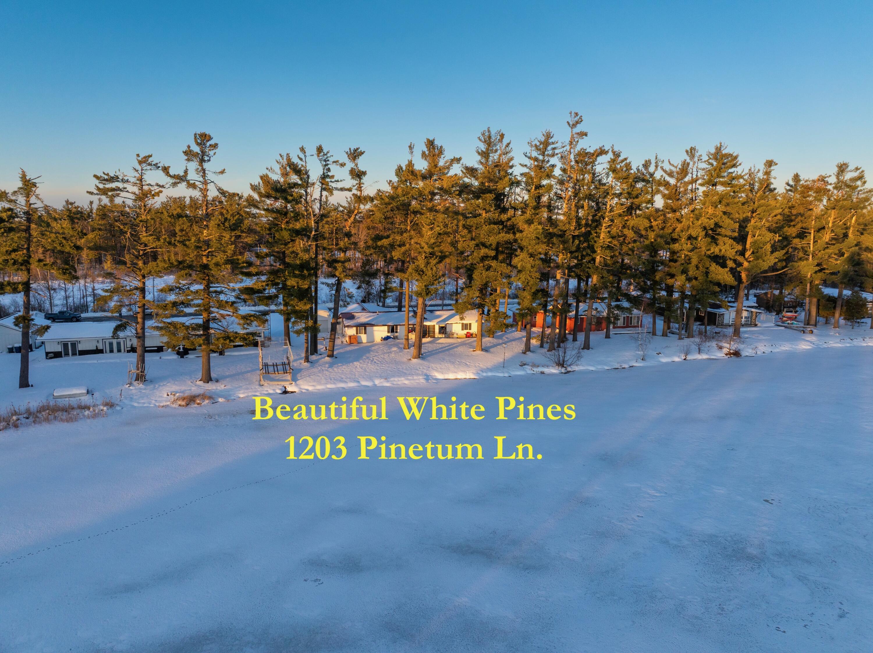 Image 4: 100' on OtsegoLake, Majestic White Pines
