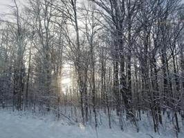 VALLEYVIEW Drive