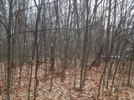 0 Mohican Trail