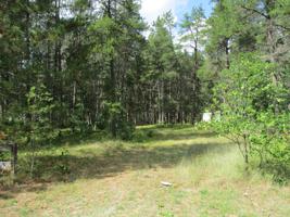 3084 W Jones Lake Road
