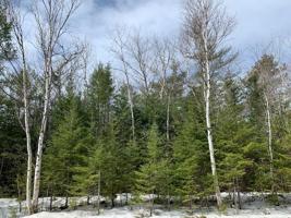 Lot 118 Timberway Drive