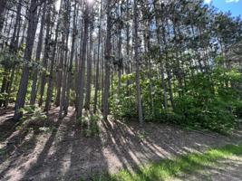 Lot 950 Michaywe Drive