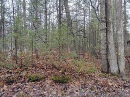 Lot #2 Plover Lane