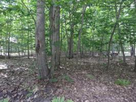 Dogwood Court
