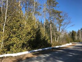 CEDAR TERRACE Drive