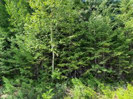Lot 54 Wilderness Circle