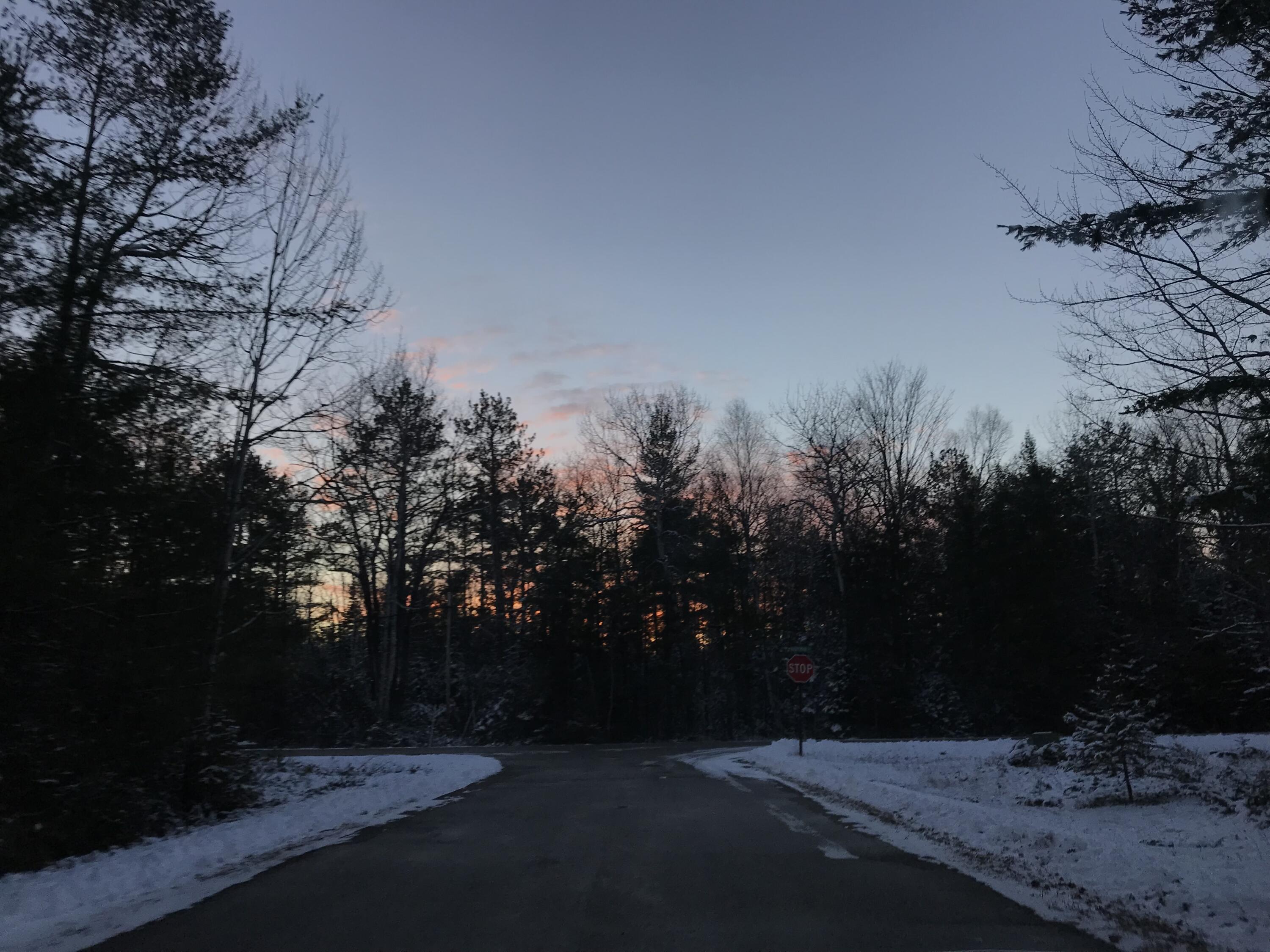 Image 3: Winter view of lot (on left)