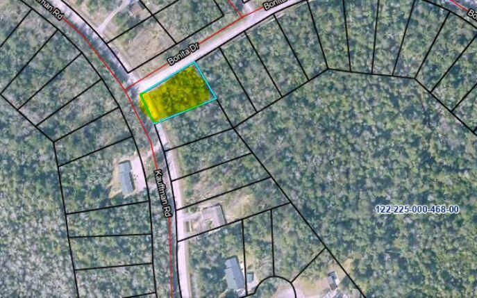 Image 4: Lot 345 Kauffman