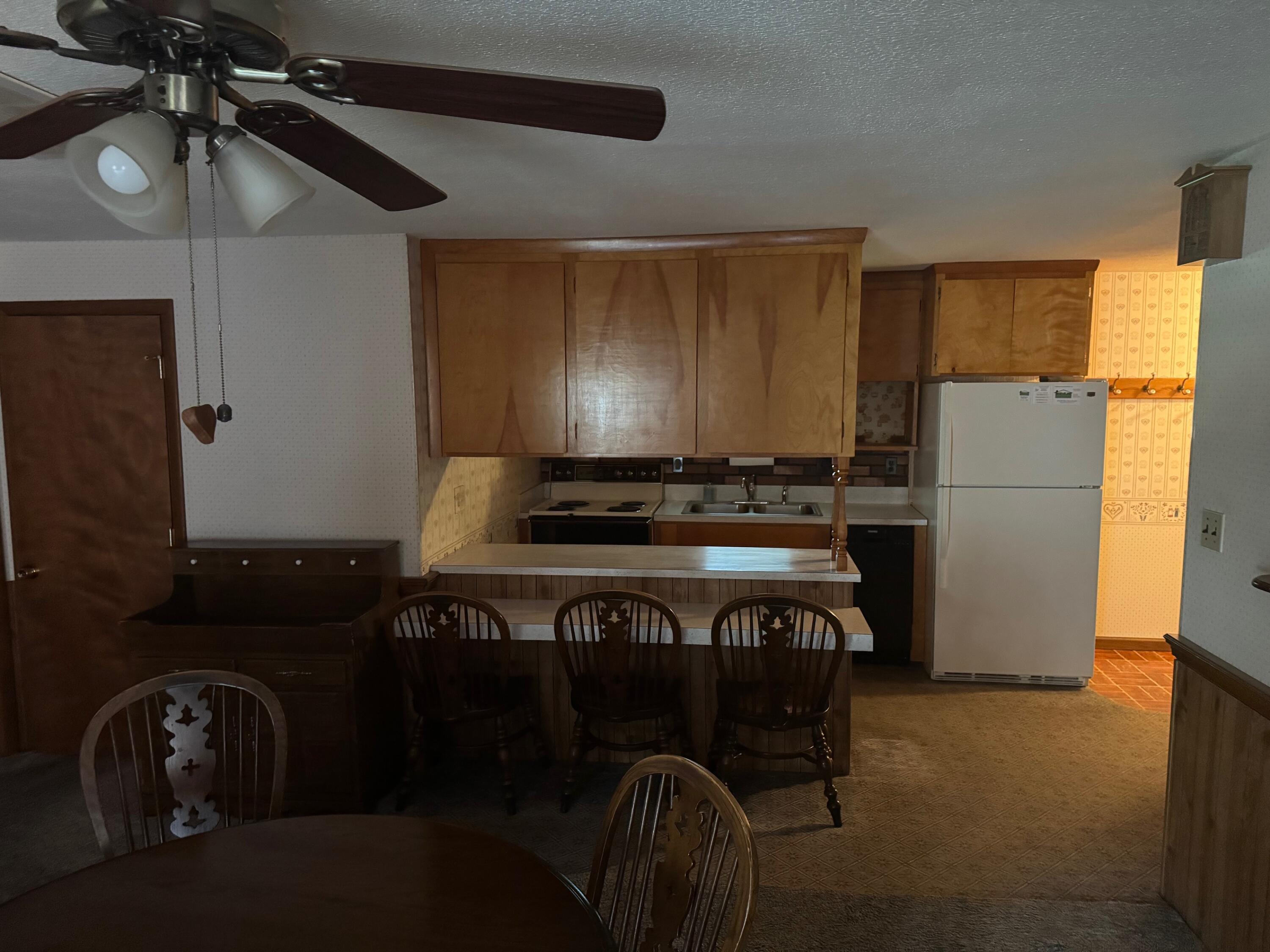 Image 4: IMG_7543