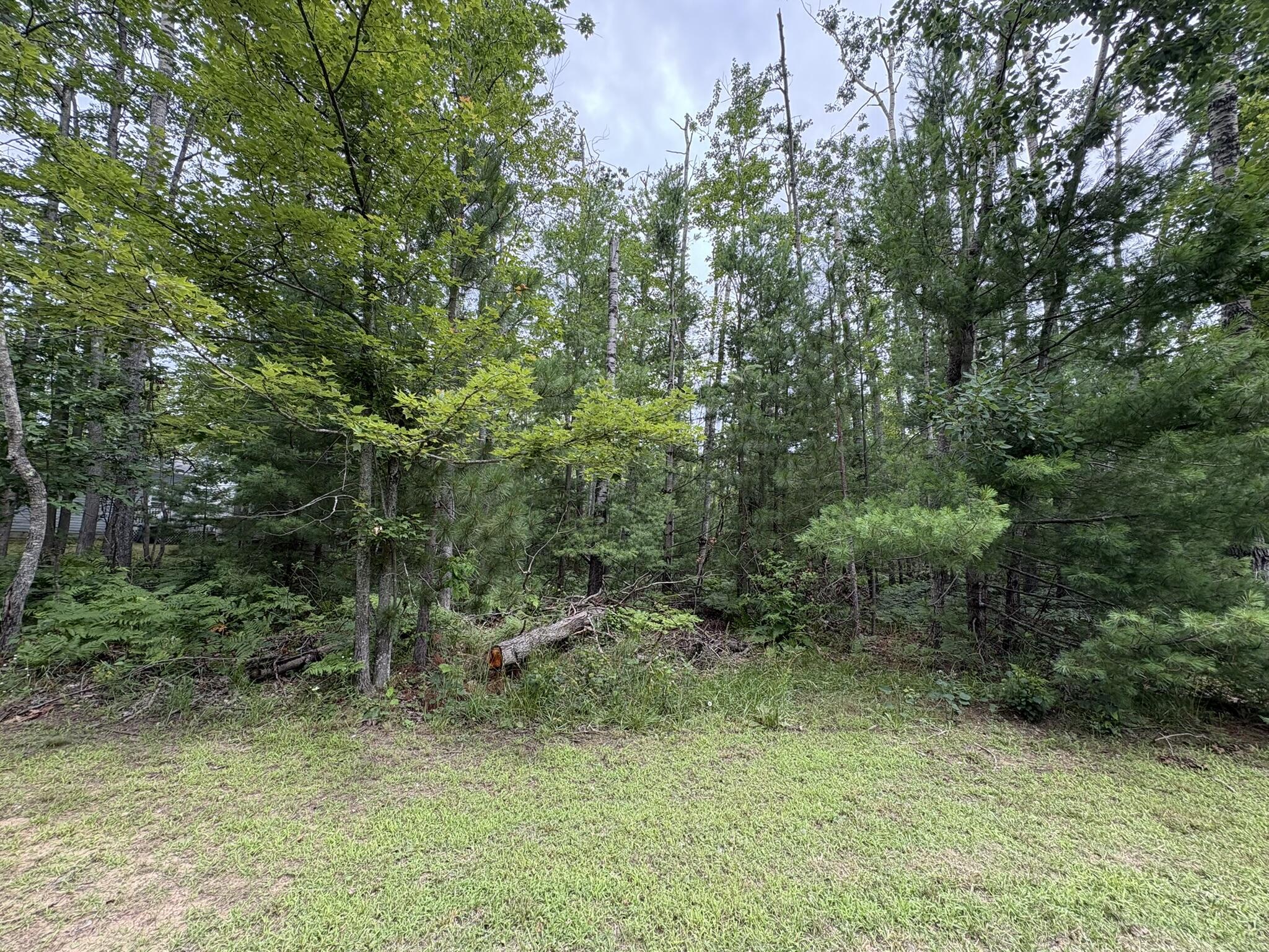 Image 1: IMG_4860