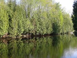 Turkey Creek Parcel 5