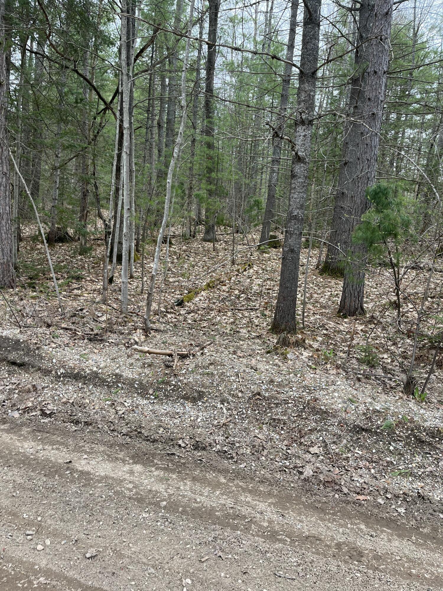 Image 3: Road frontage