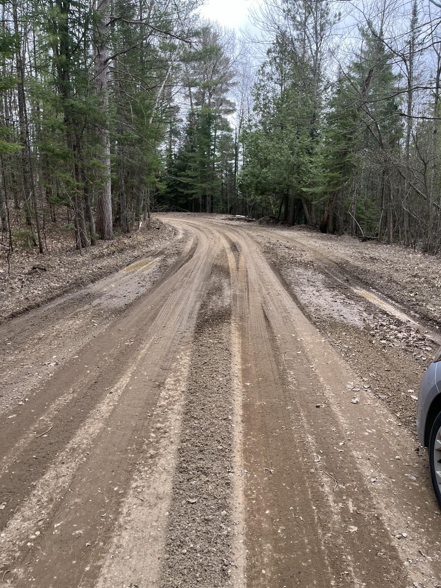 Image 4: Road