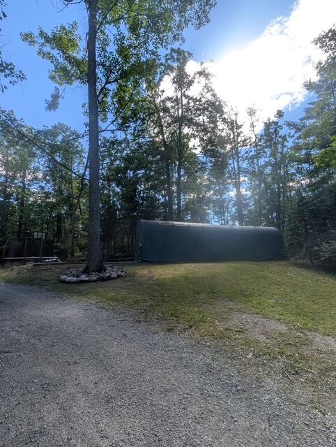 Image 4: PXL_20250817_201202931.RAW-01.COVER