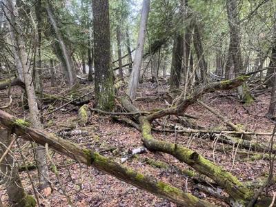 1.24 AC E Huron Drive