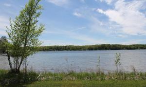 Parrott's Point Road