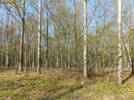 Lot 307 Michaywe Drive