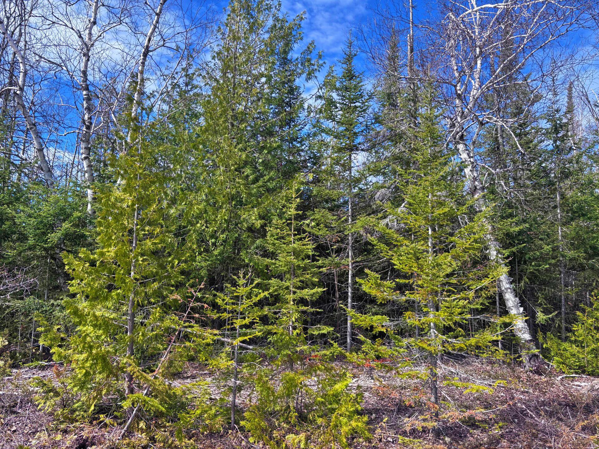 Image 1: 1