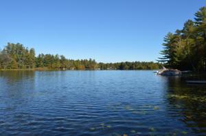 Tee Lake Woods Road