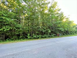 8480 Cordwood Trail