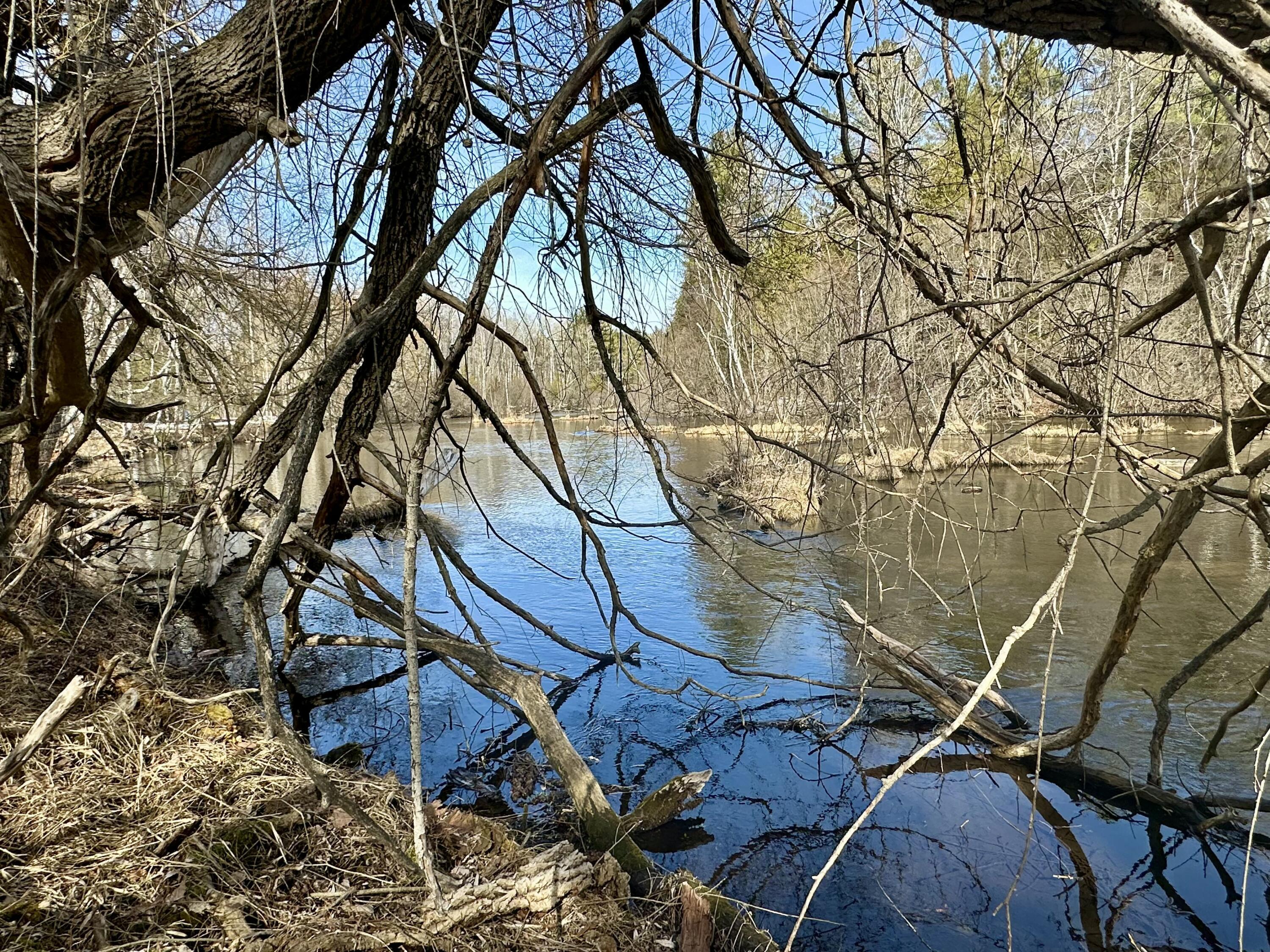 Image 4: tempImageXb8BdL