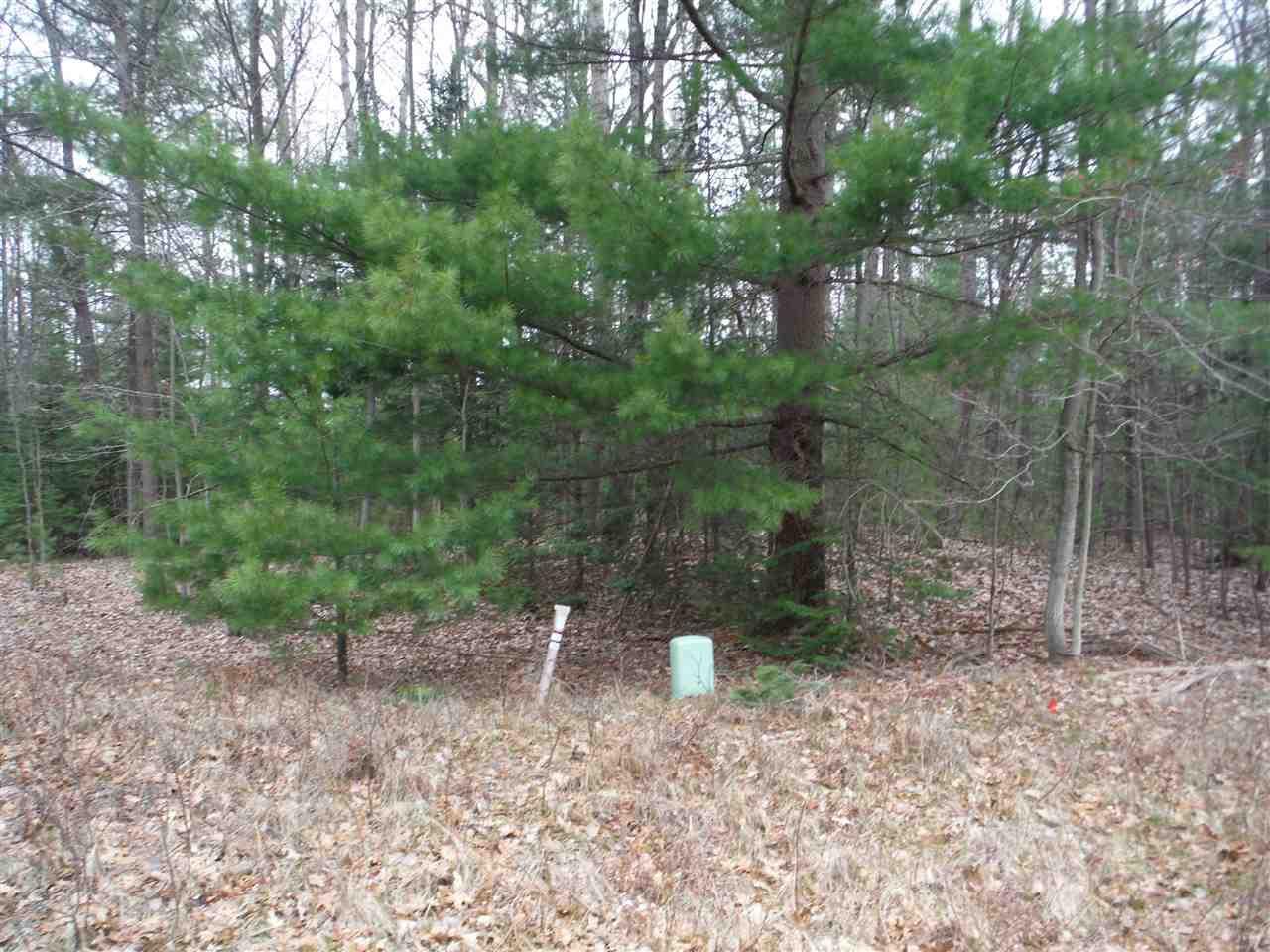 Image 4: Photo 3