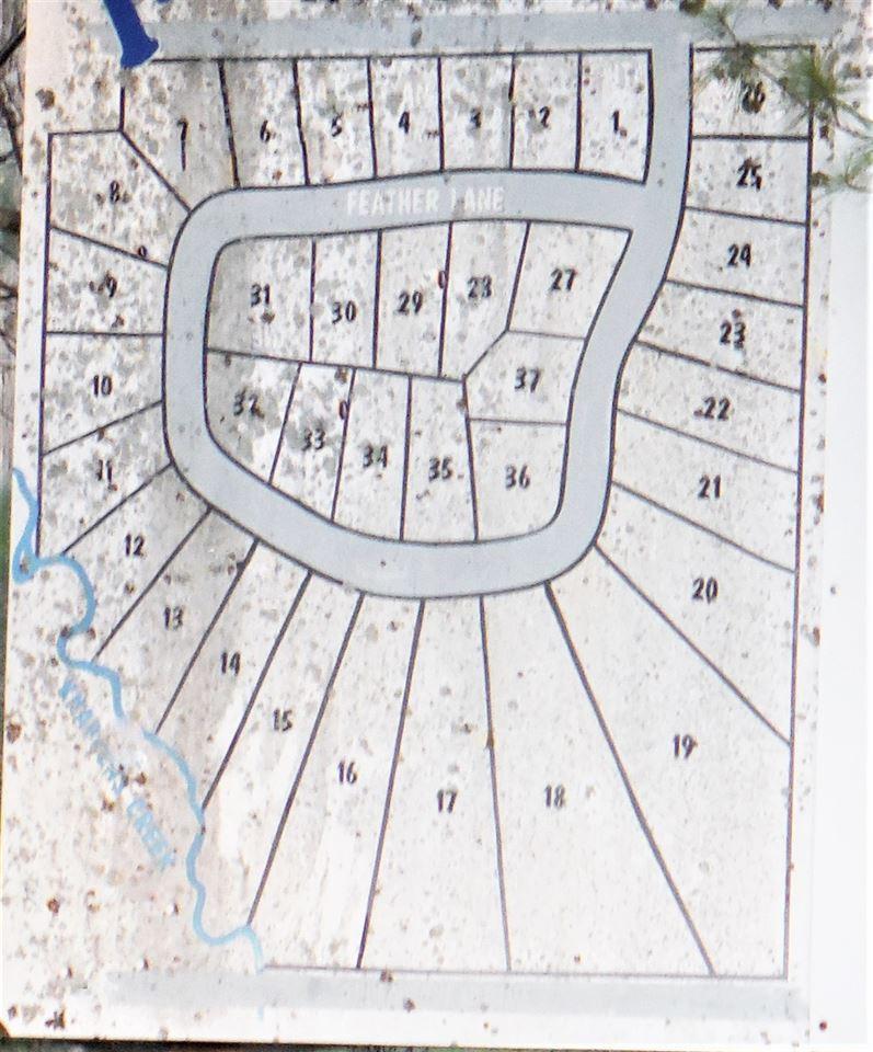 Image 2: Photo 3