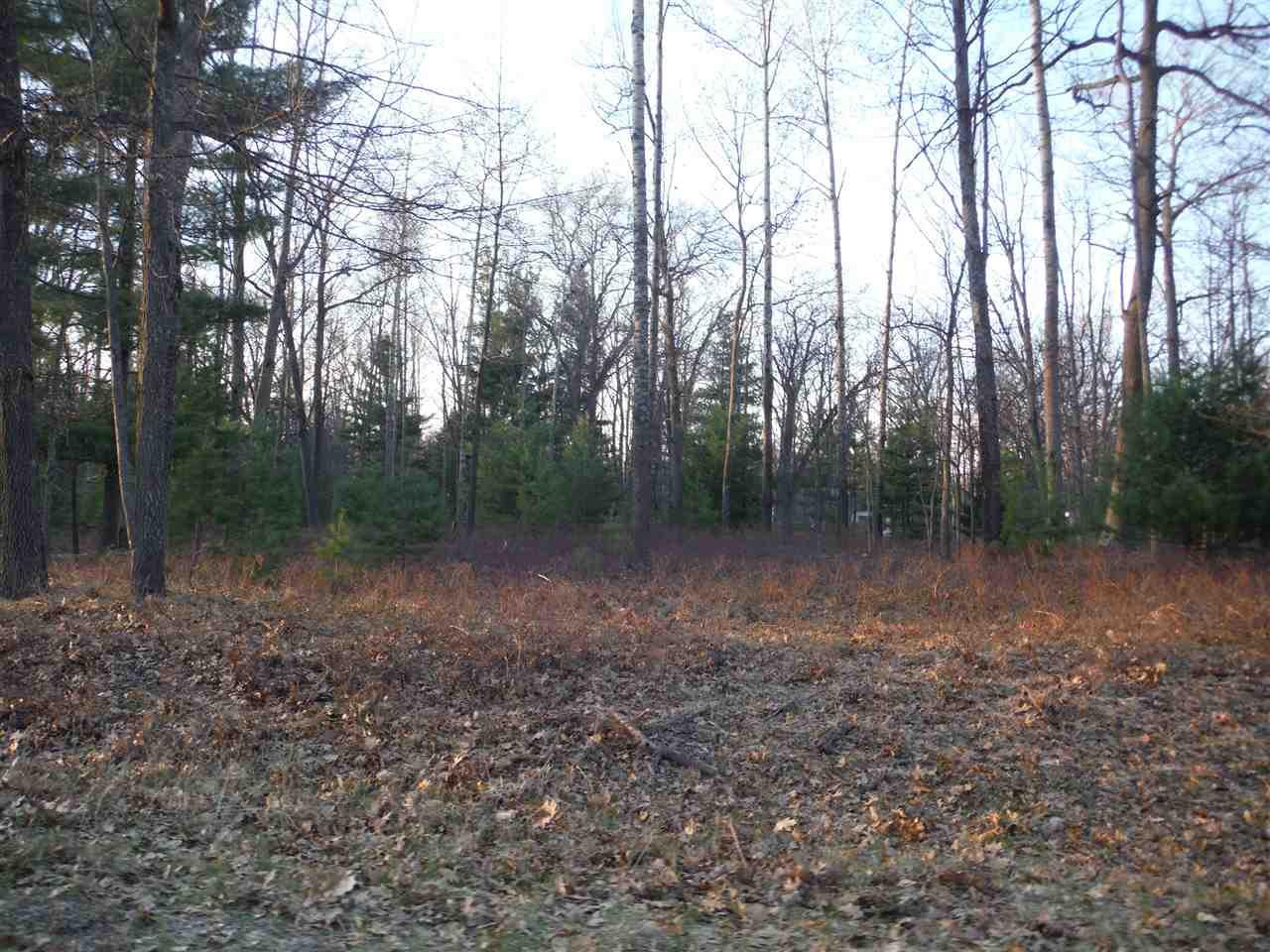Image 3: Photo 4