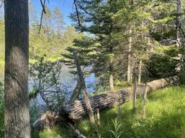 8777 Hamlin Trail