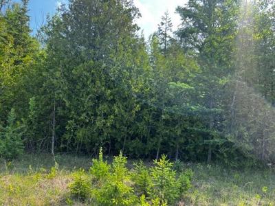 Lot 14 E Grand Lake Road