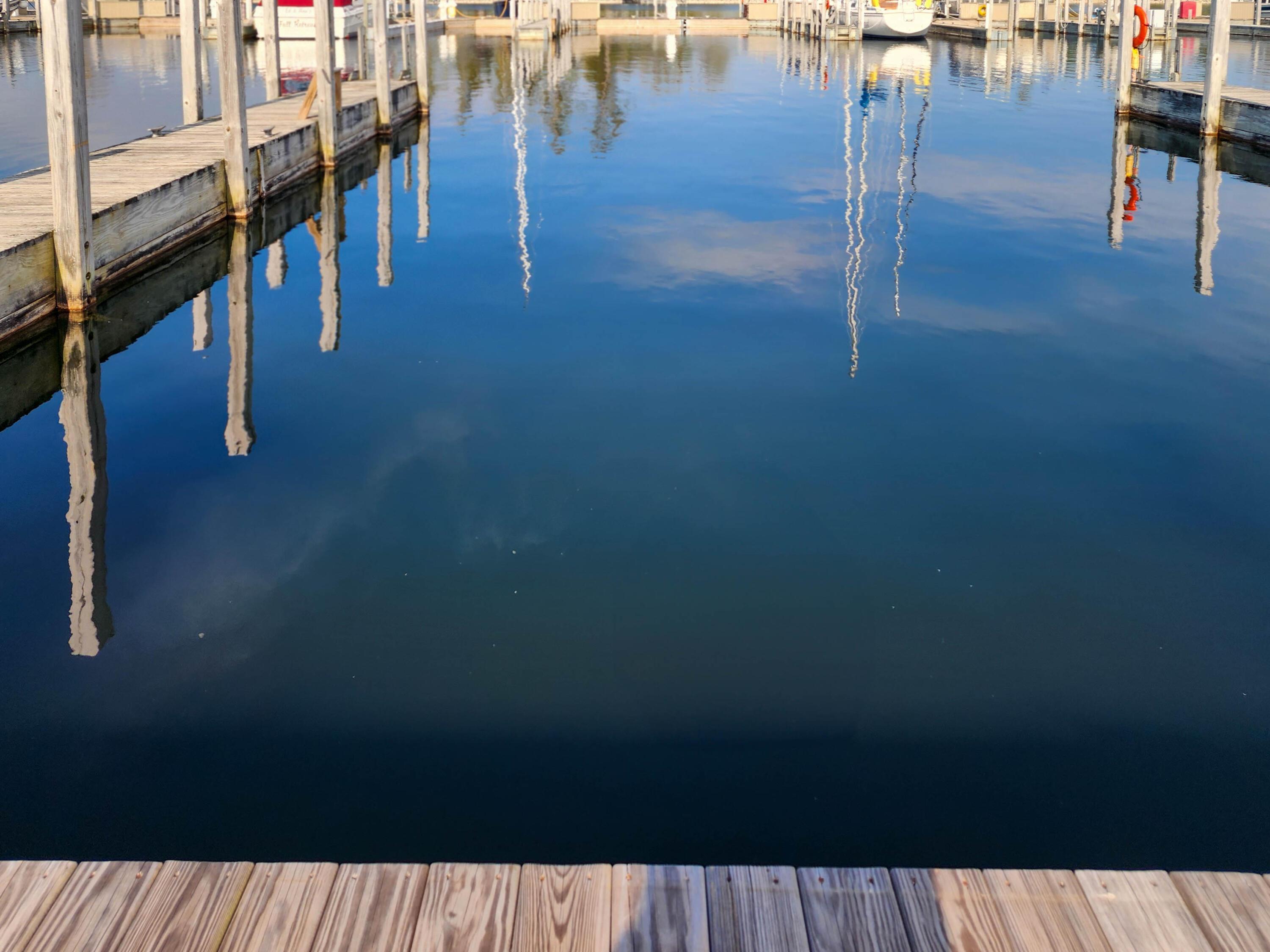 Image 4: 20250515_091548