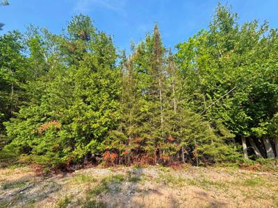 395 & 396 Balsam Drive