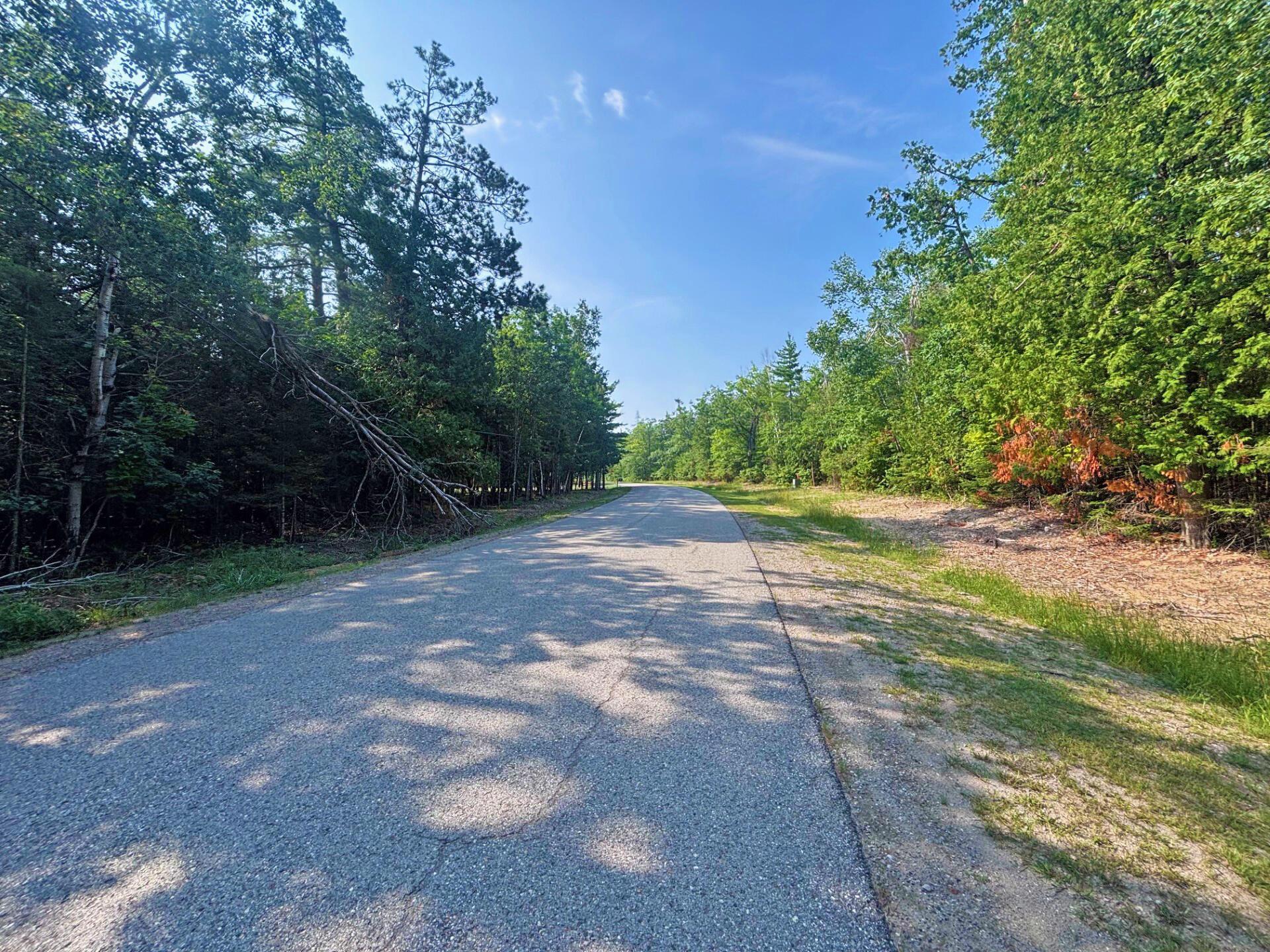 Image 4: Balsam Drive